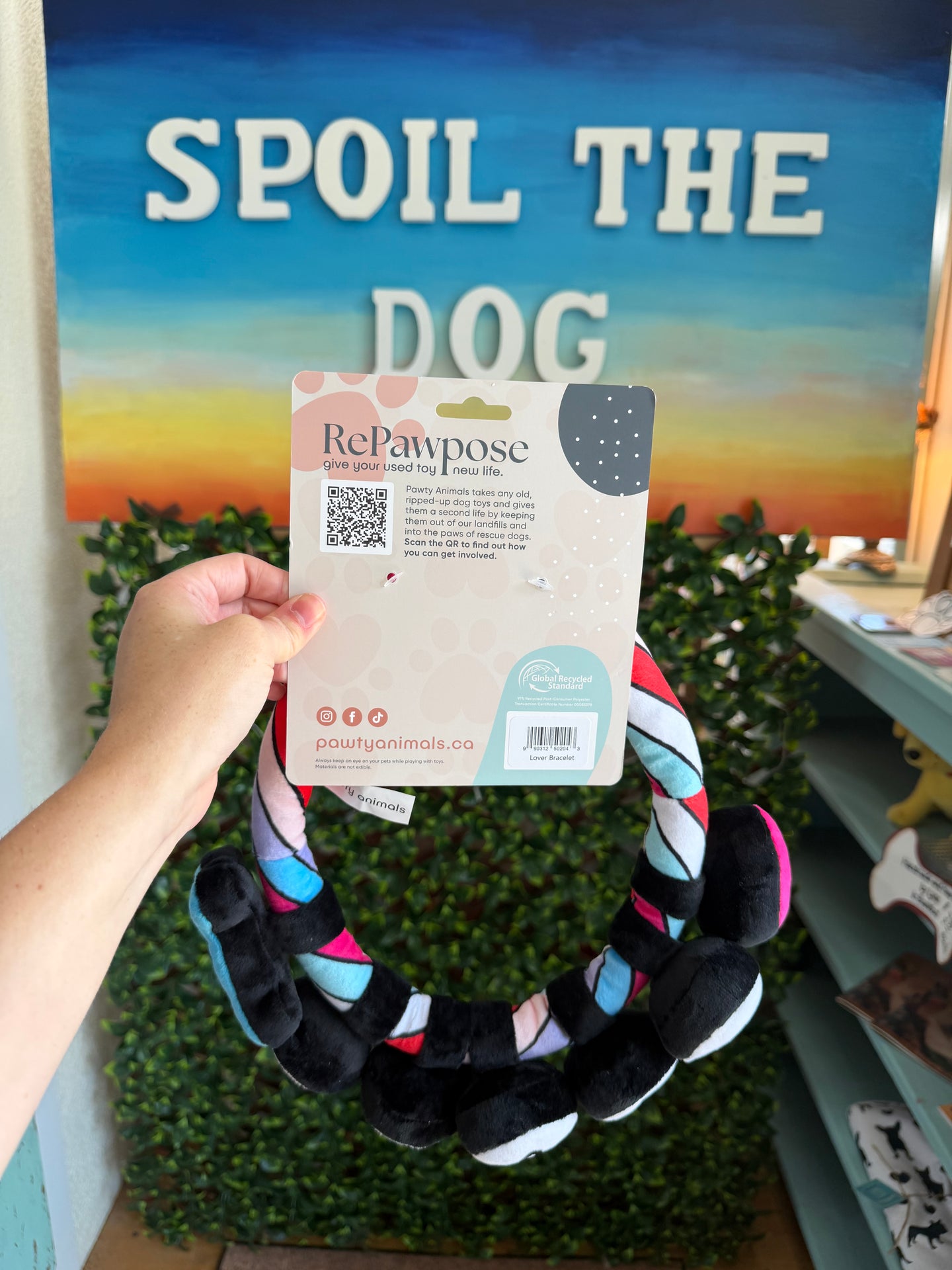 Lover Friendship Bracelet - Rope Dog Toy