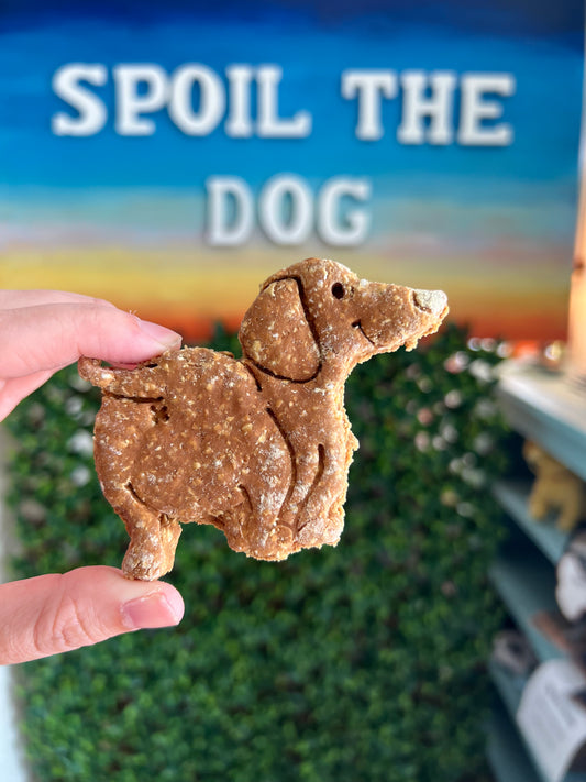 Wiener Dog Cookies