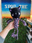 Black cat-shaped toy with a purple rope held by a hand, with a store setting in the background.