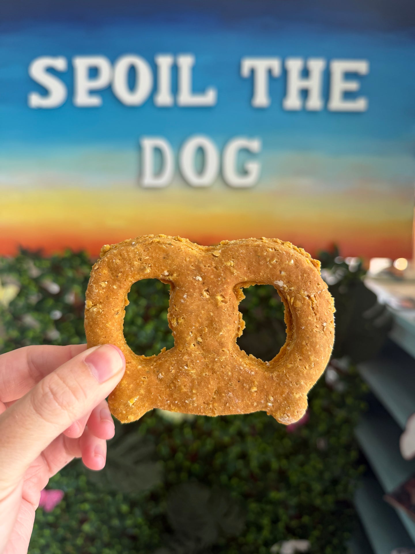 Pretzel Signature Dog Treat