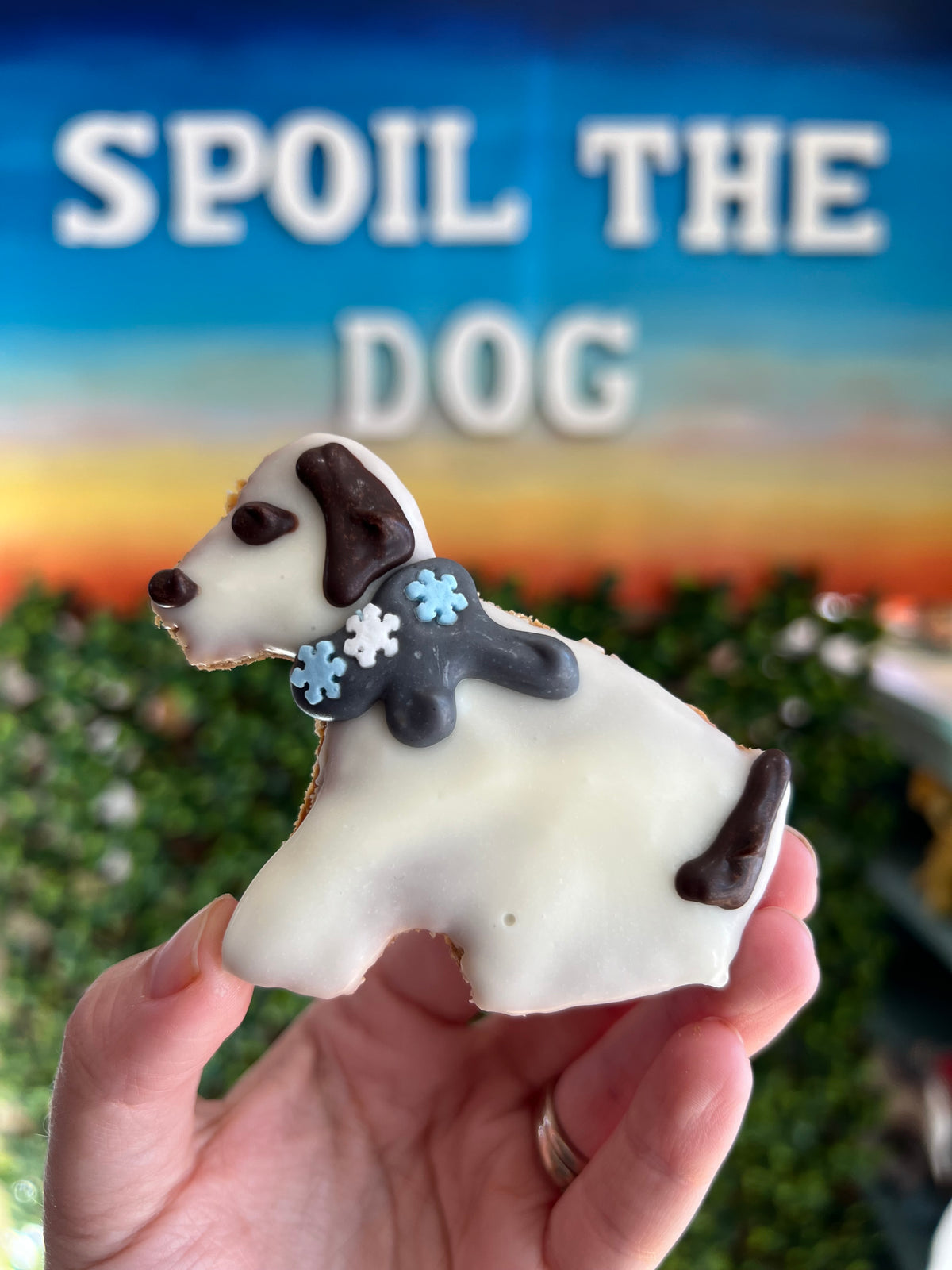 Hand holding a dog-shaped cookie with 'Spoil the Dog' branding in the background.