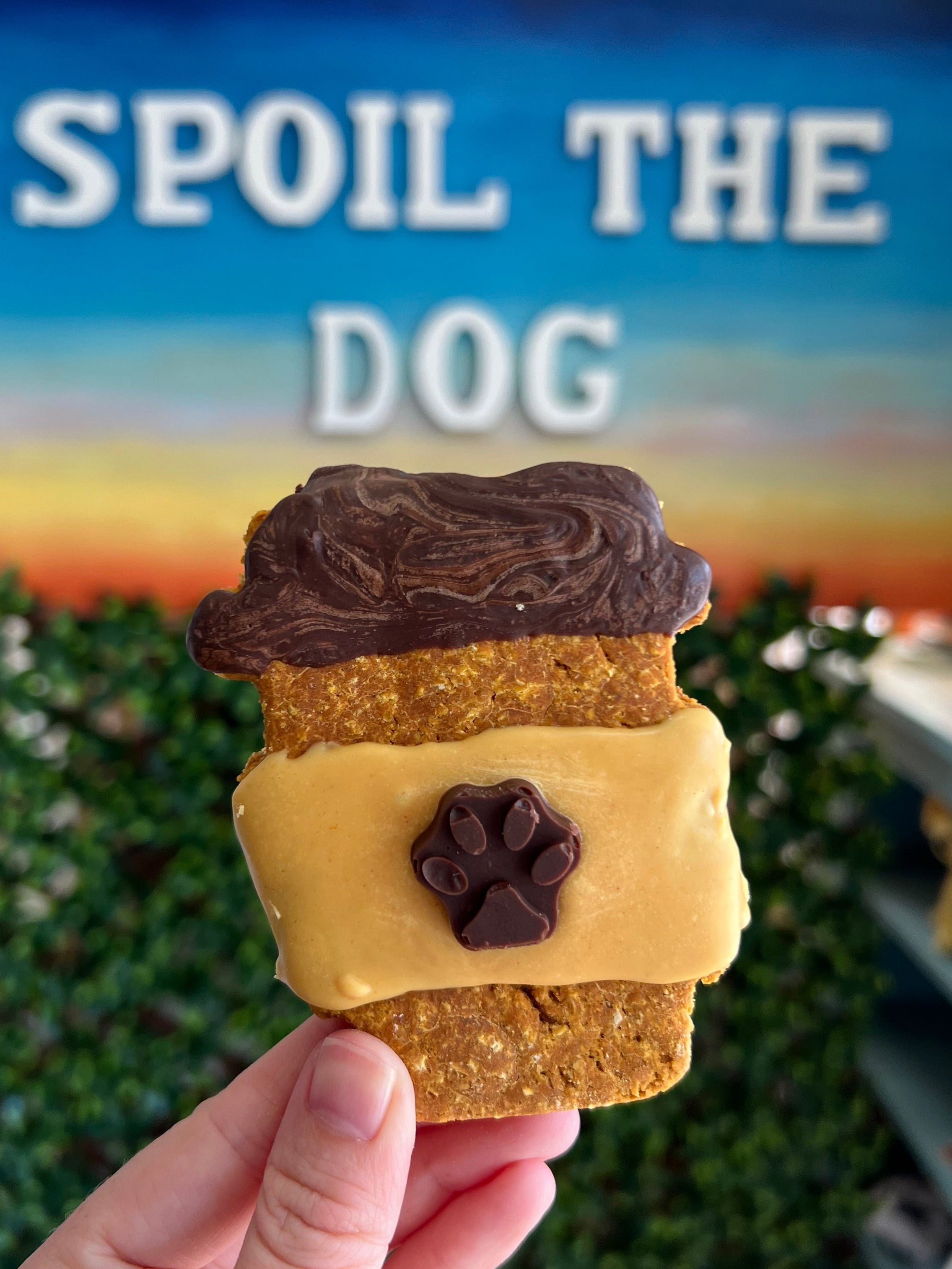 Dog treat with carob and yogurt layers held by a hand, against a blurred outdoor background with 'Spoil the Dog' text.