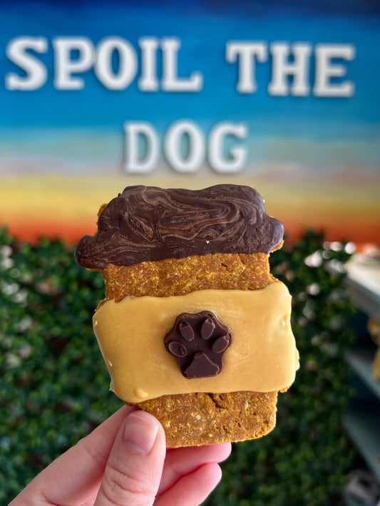 Pumpkin Spice Latte Dog Treat
