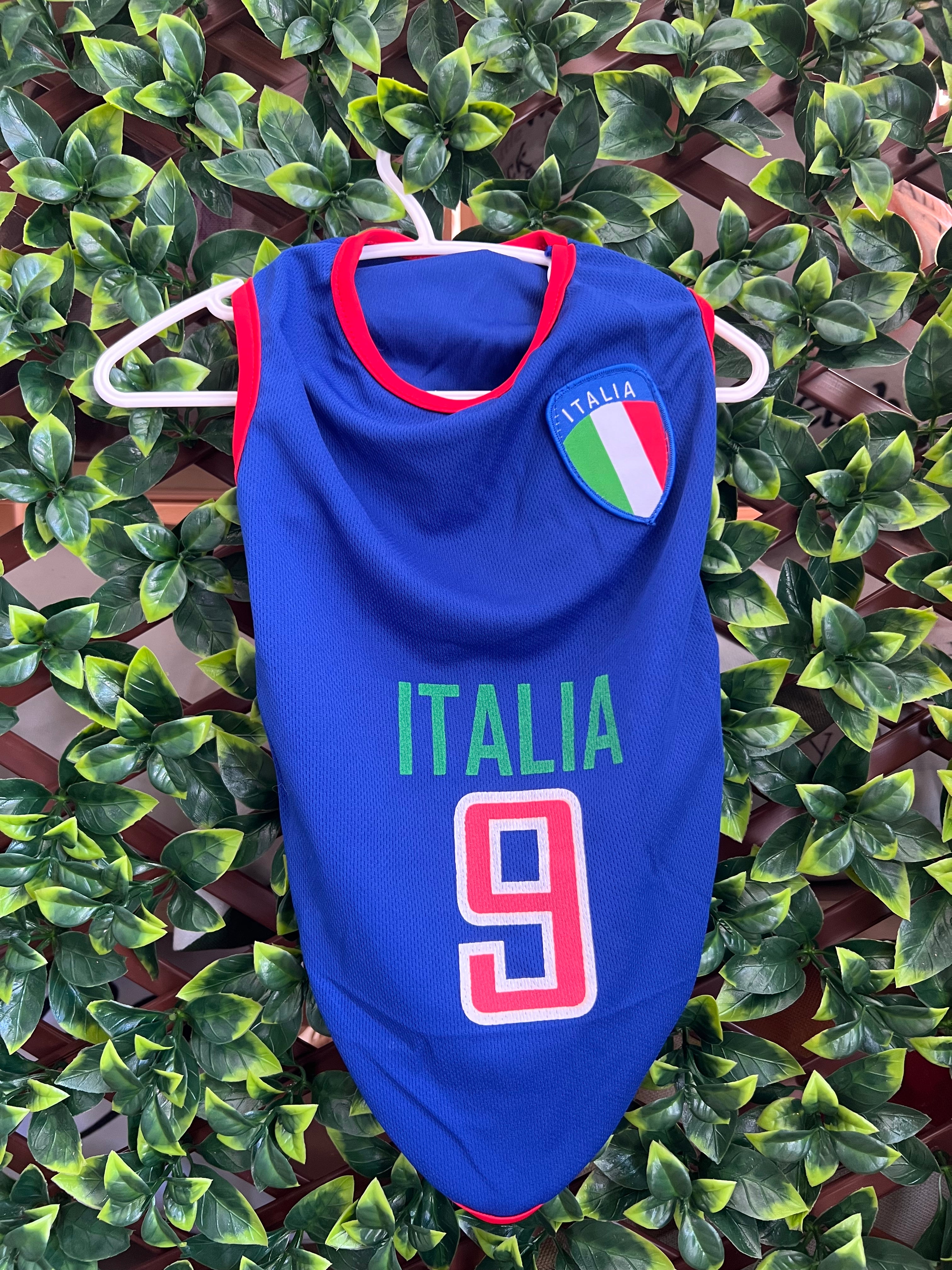 Dog Soccer Jersey