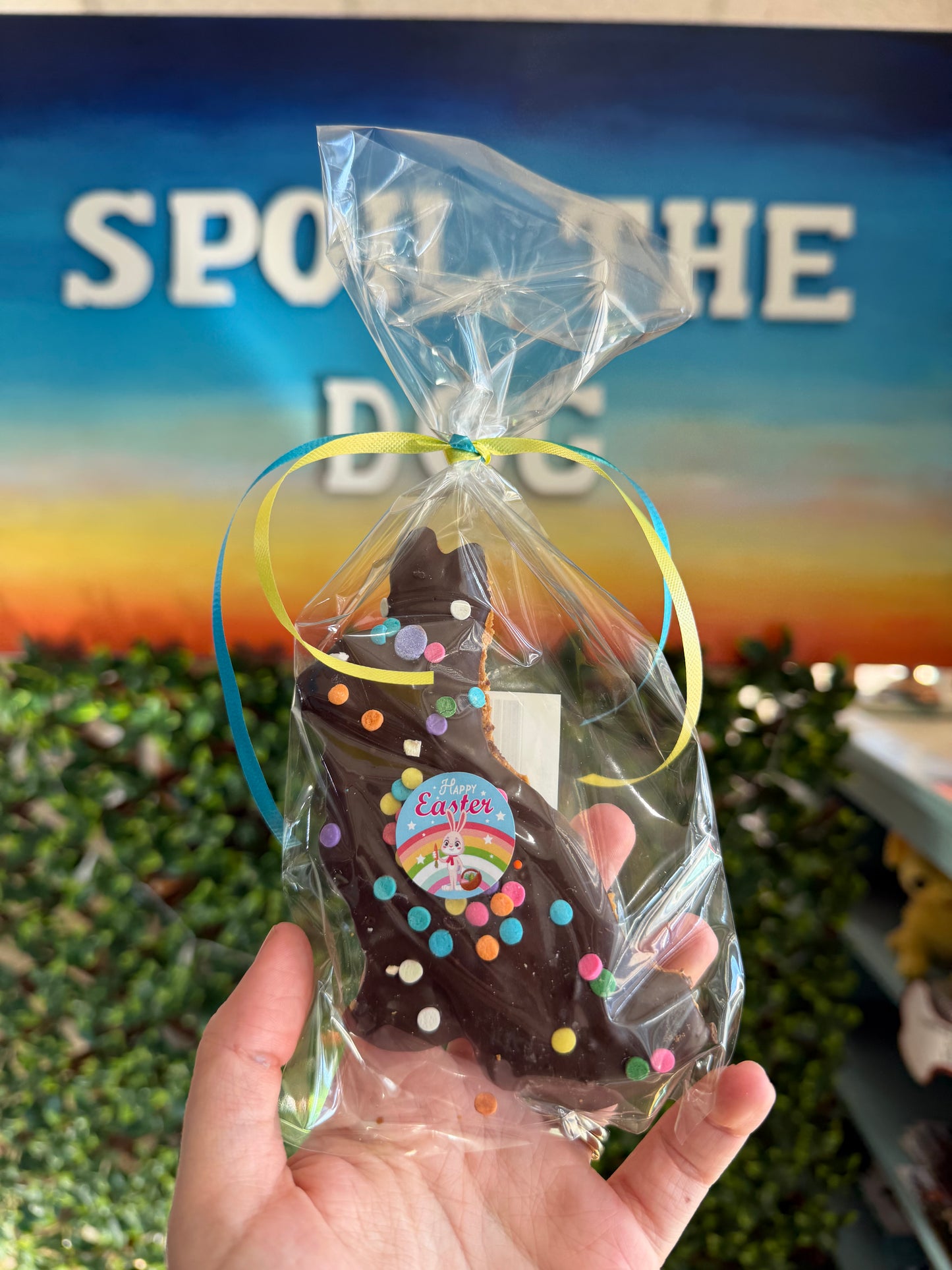 Lapin de Pâques 2026 enrobé de caroube et décoré de vermicelles - Friandise pour chien