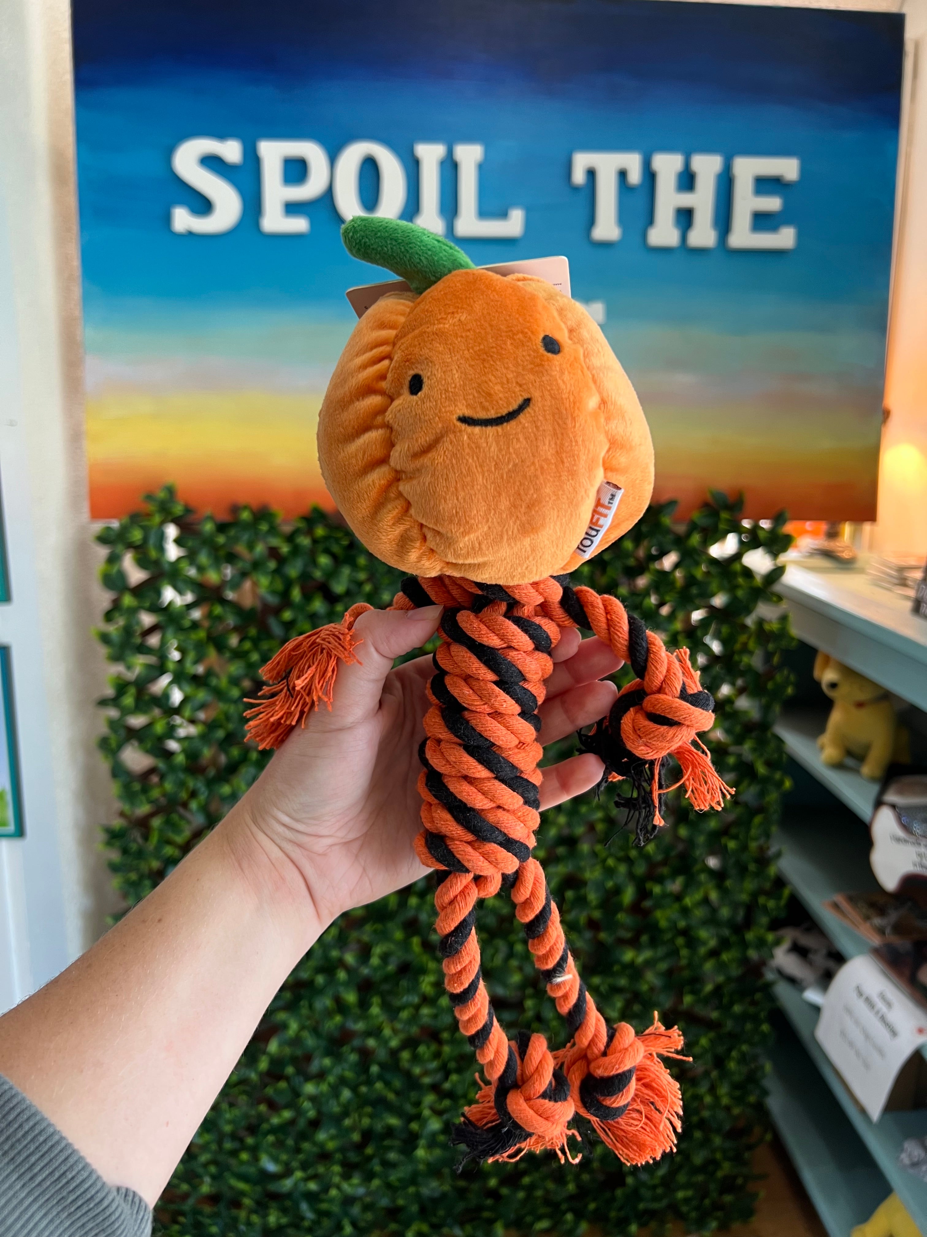 Hand holding a dog toy with a plush face and rope in front of a store display.