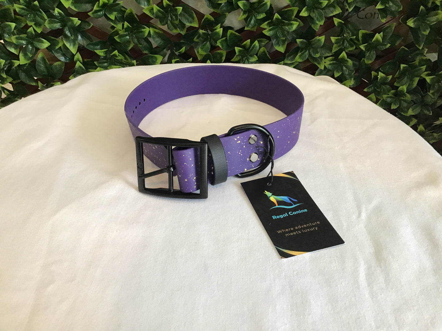 Regal Canine Biothane Dog Collars