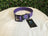 Regal Canine Biothane Dog Collars
