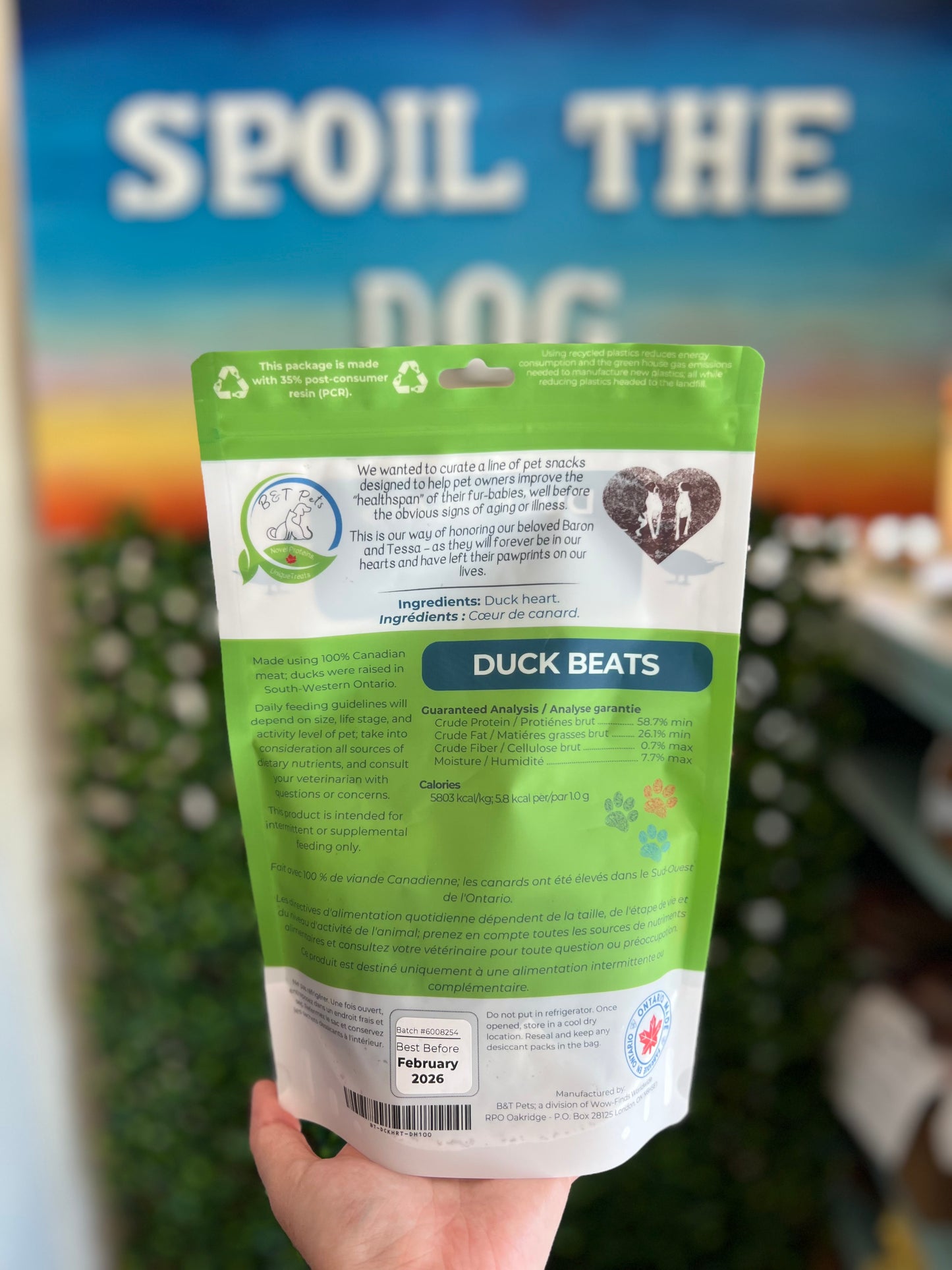 Duck Beats- B & T Pets