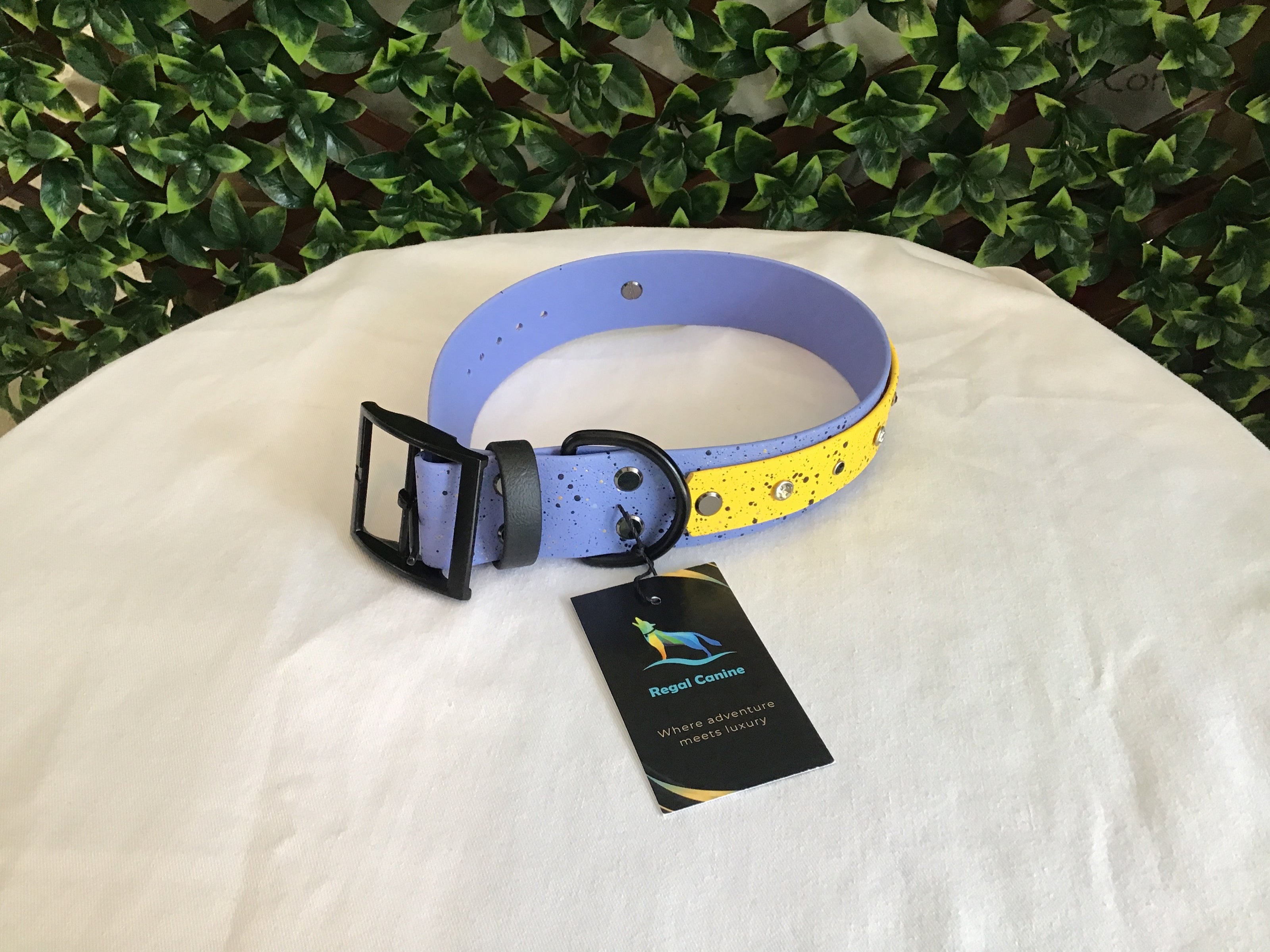 Colliers pour chiens Regal Canine en Biothane