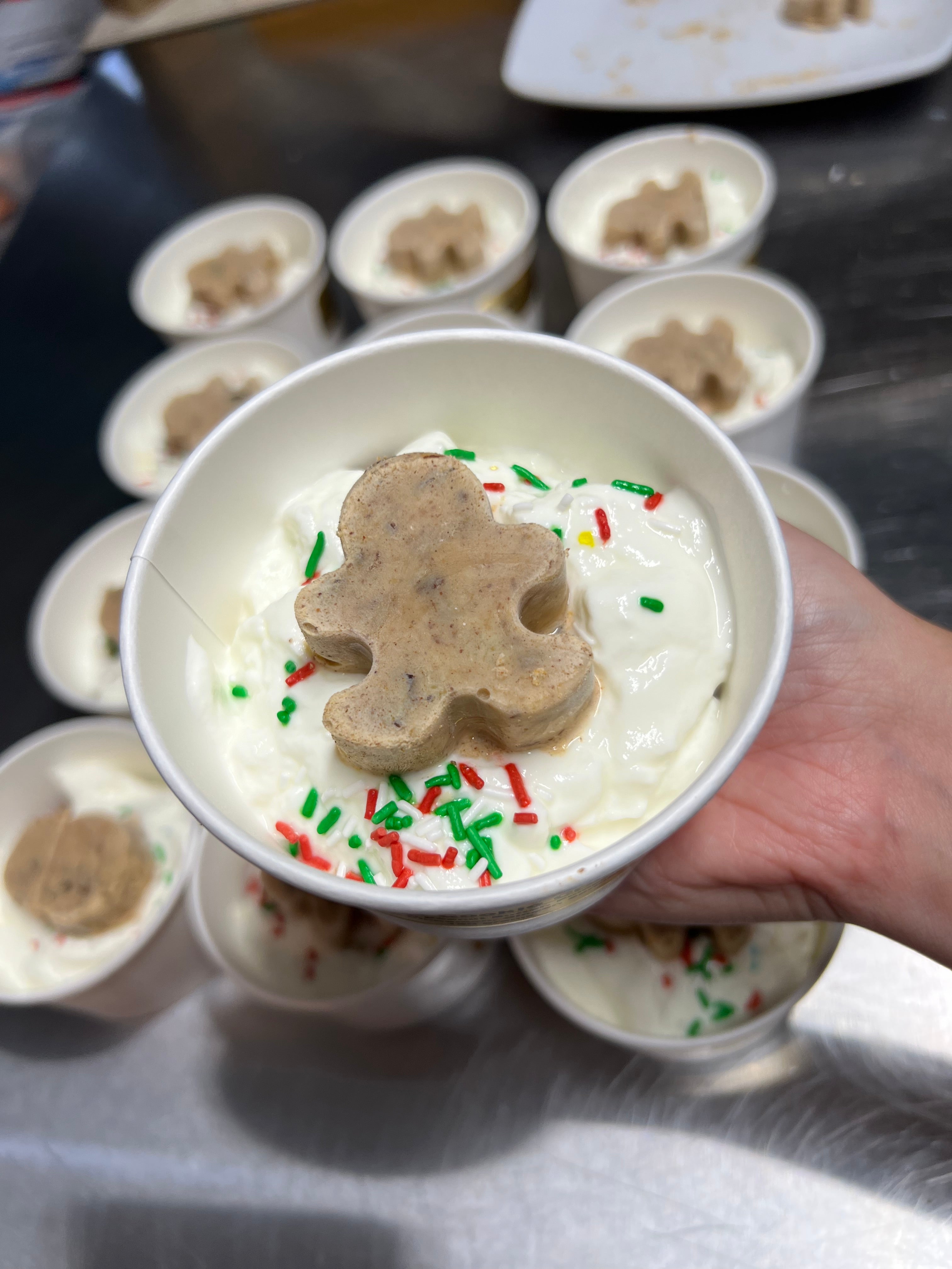 Frozen Dog Treats Lickable Frozen Yogurt for Dogs (Available for Pickup Only)