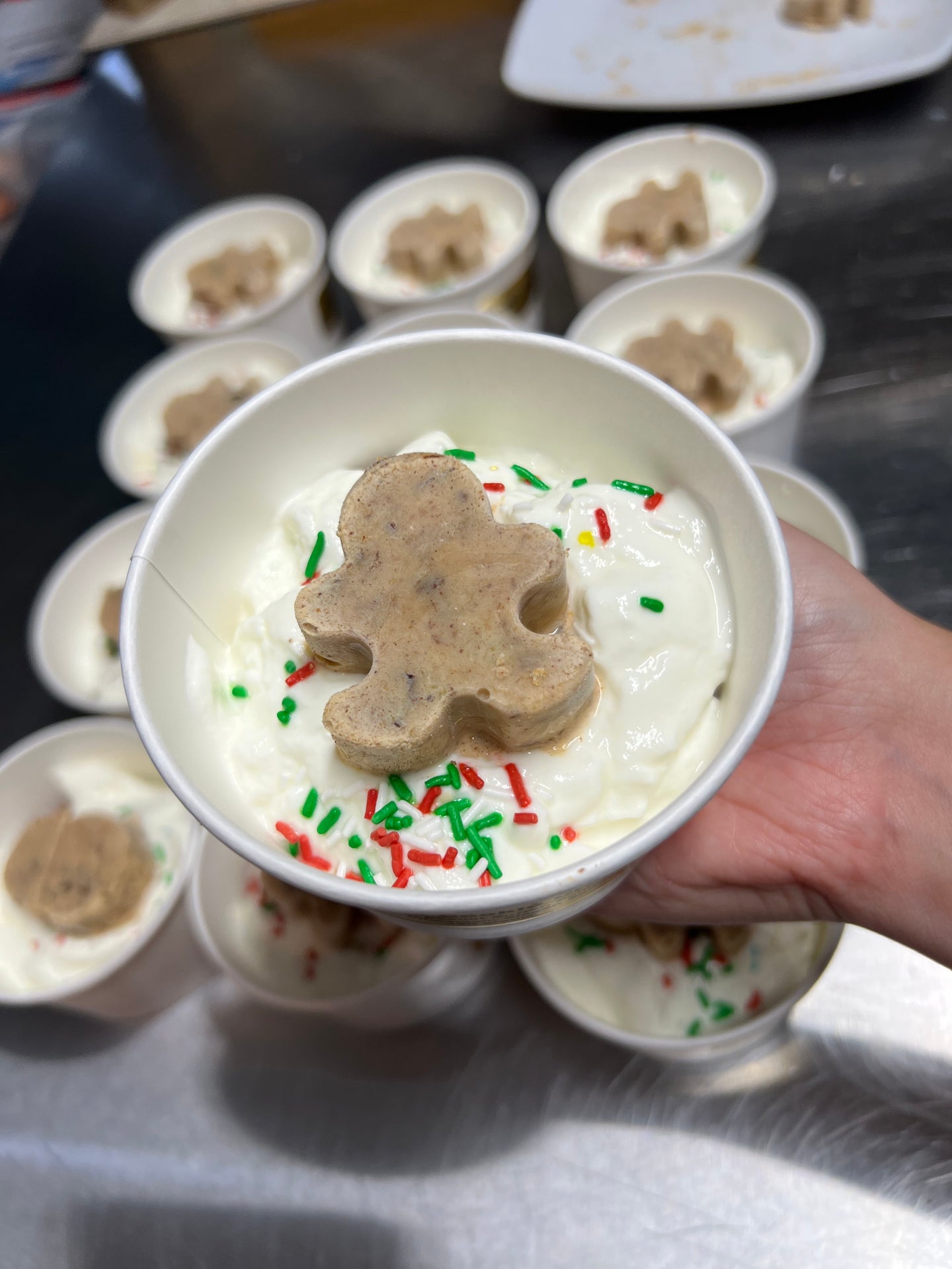 Frozen Dog Treats Lickable Frozen Yogurt for Dogs (Available for Pickup Only)
