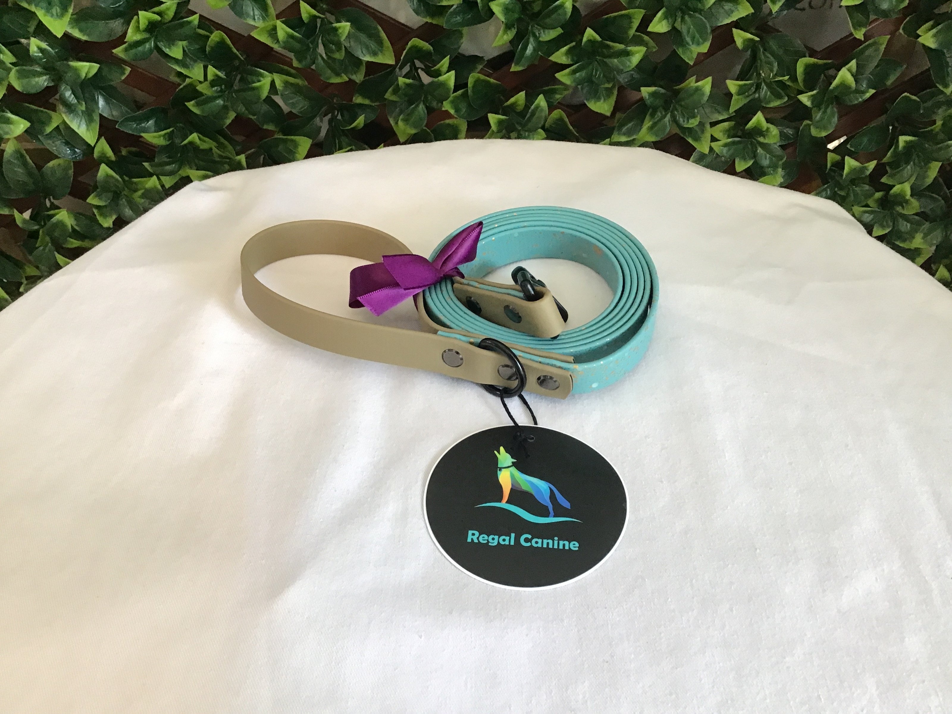 Laisses Regal Canine en Biothane