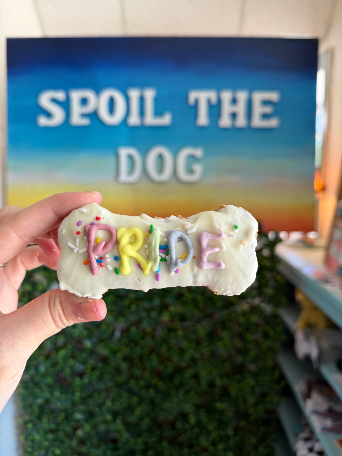 Pride Dog Treat Cookie