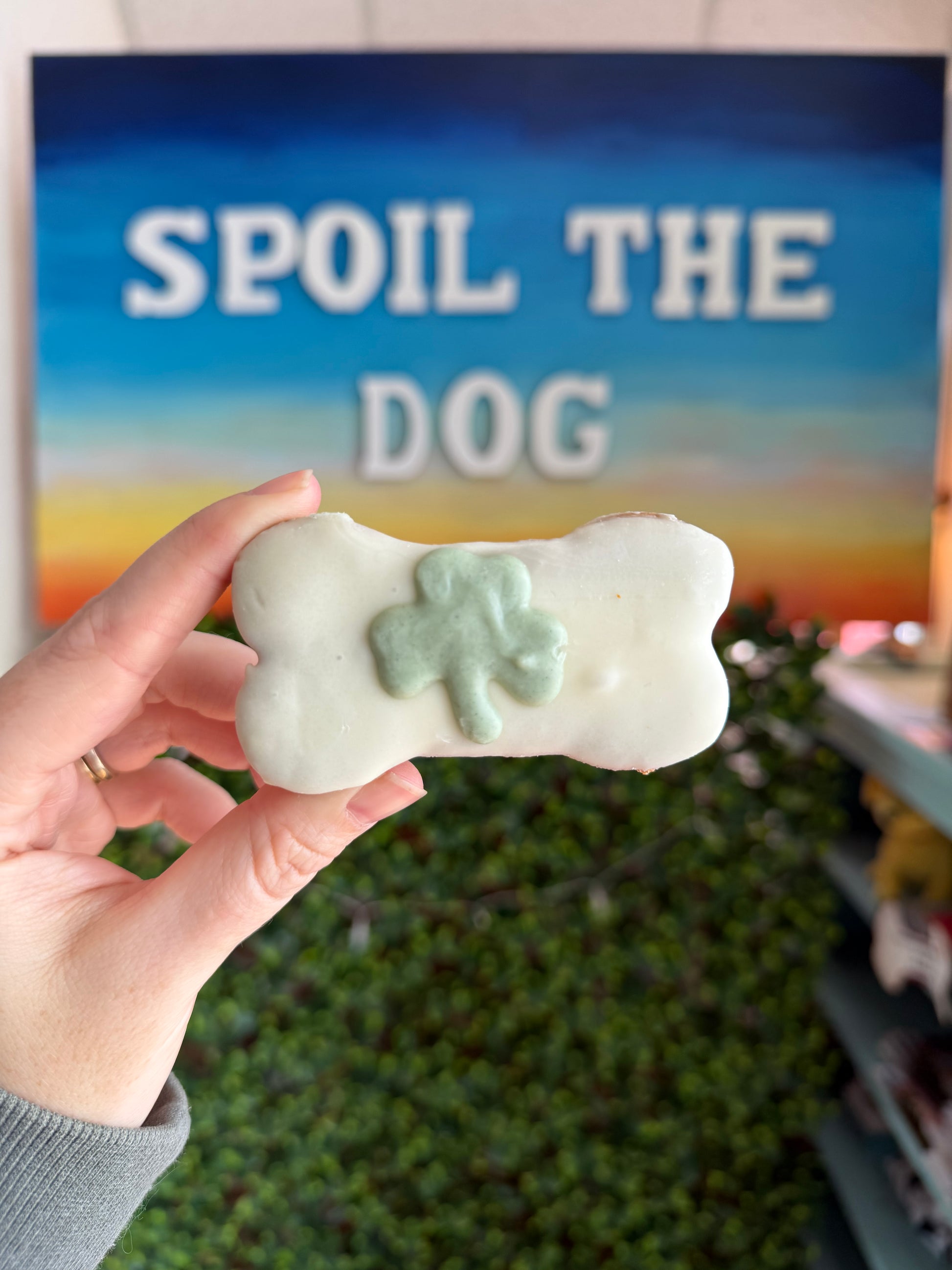 Hand holding a dog treat shaped like a bone with a clover, in front of a 'Spoil the Dog' sign.