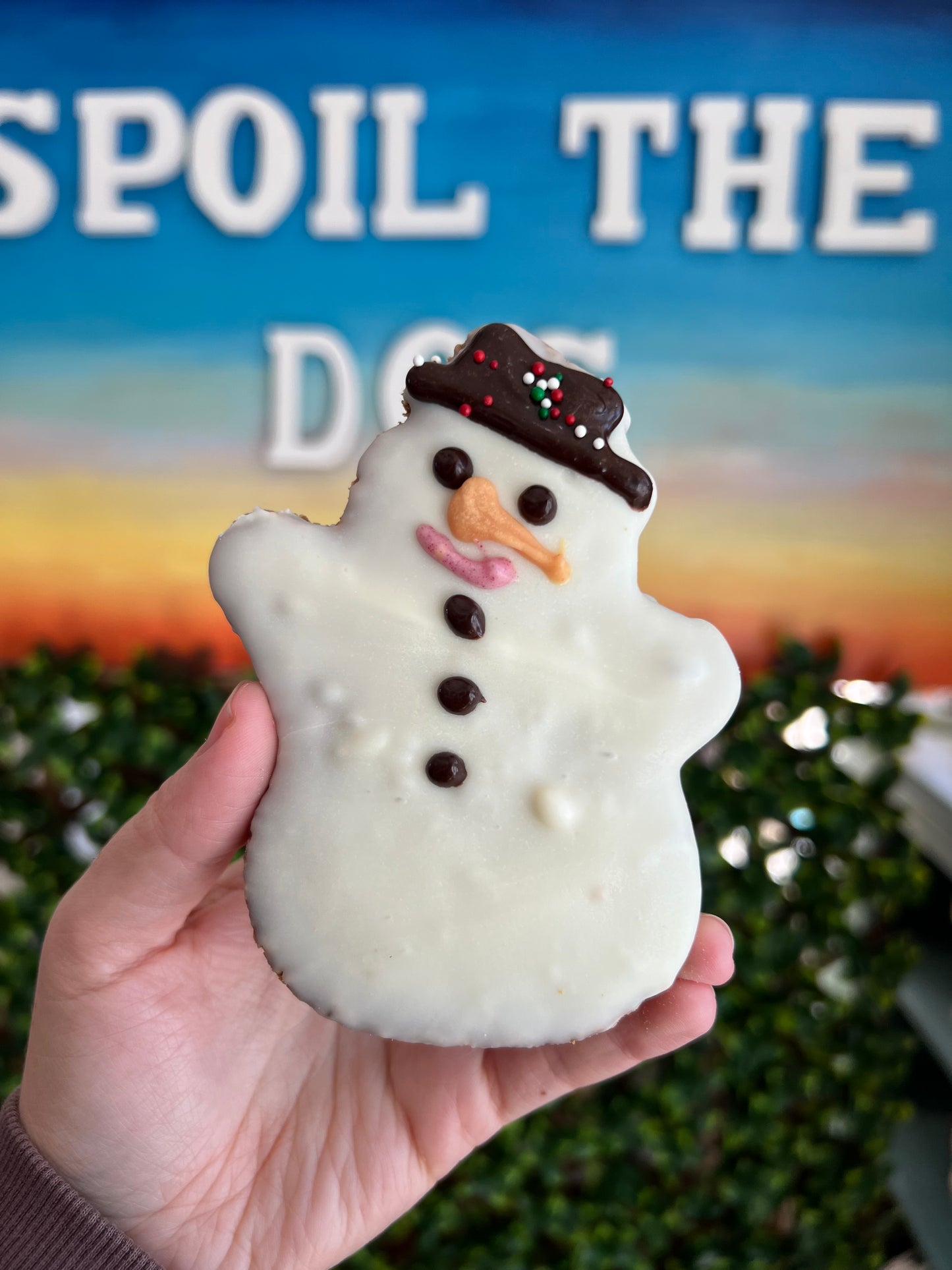 Christmas Frosty The Snowman Dog Treat