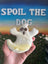 Halloween Ghost Dog Treat (Wholesale - 1 dozen)