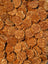 Close-up of apple coconut circular dog treats