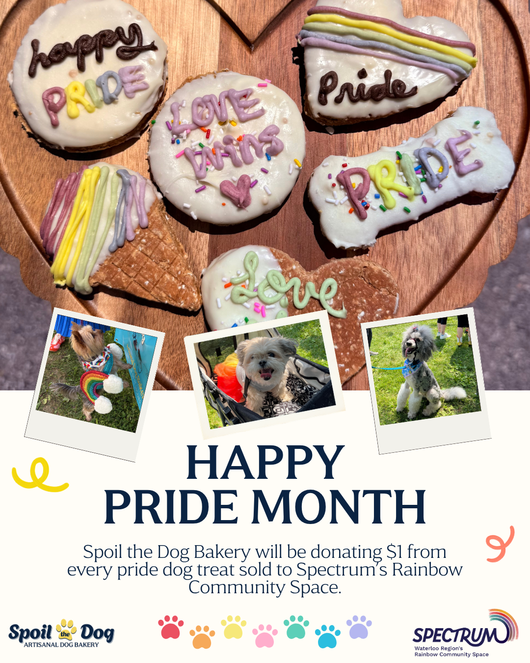 Pride Dog Treat Cookie