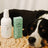 Dog laying beside mintier breath water additive for pet breath