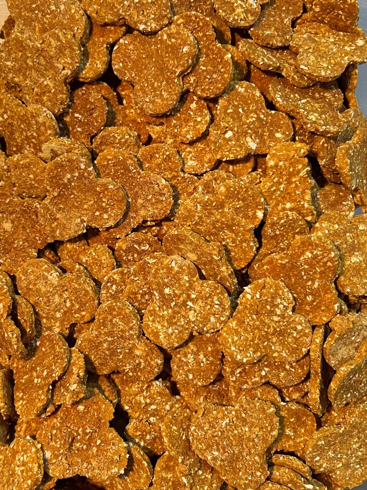 Close-up of pumpkin dog treats with a clear background