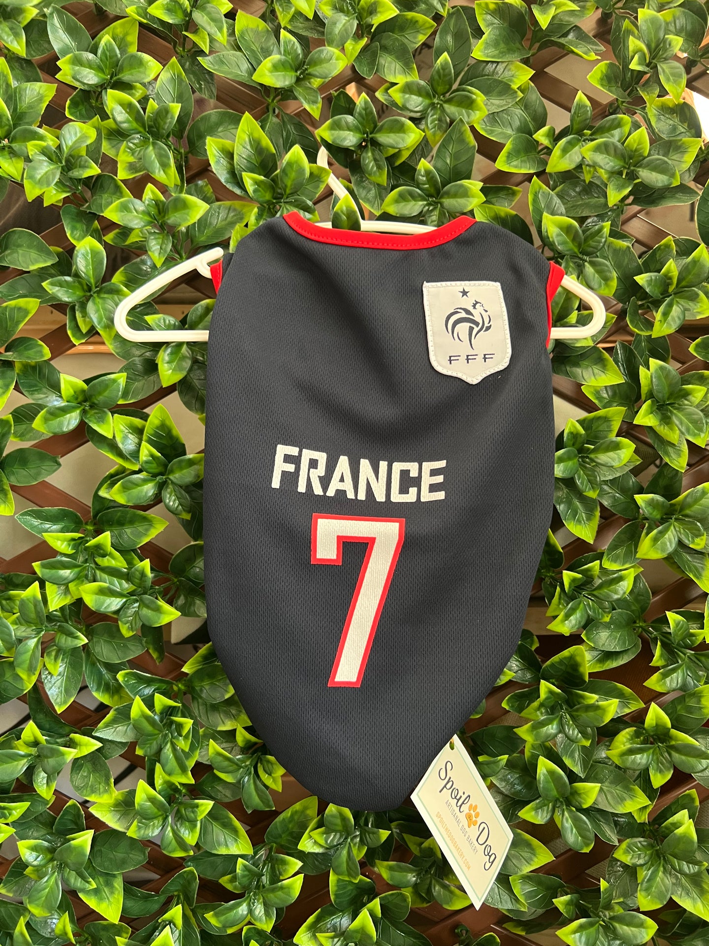 Dog Soccer Jersey