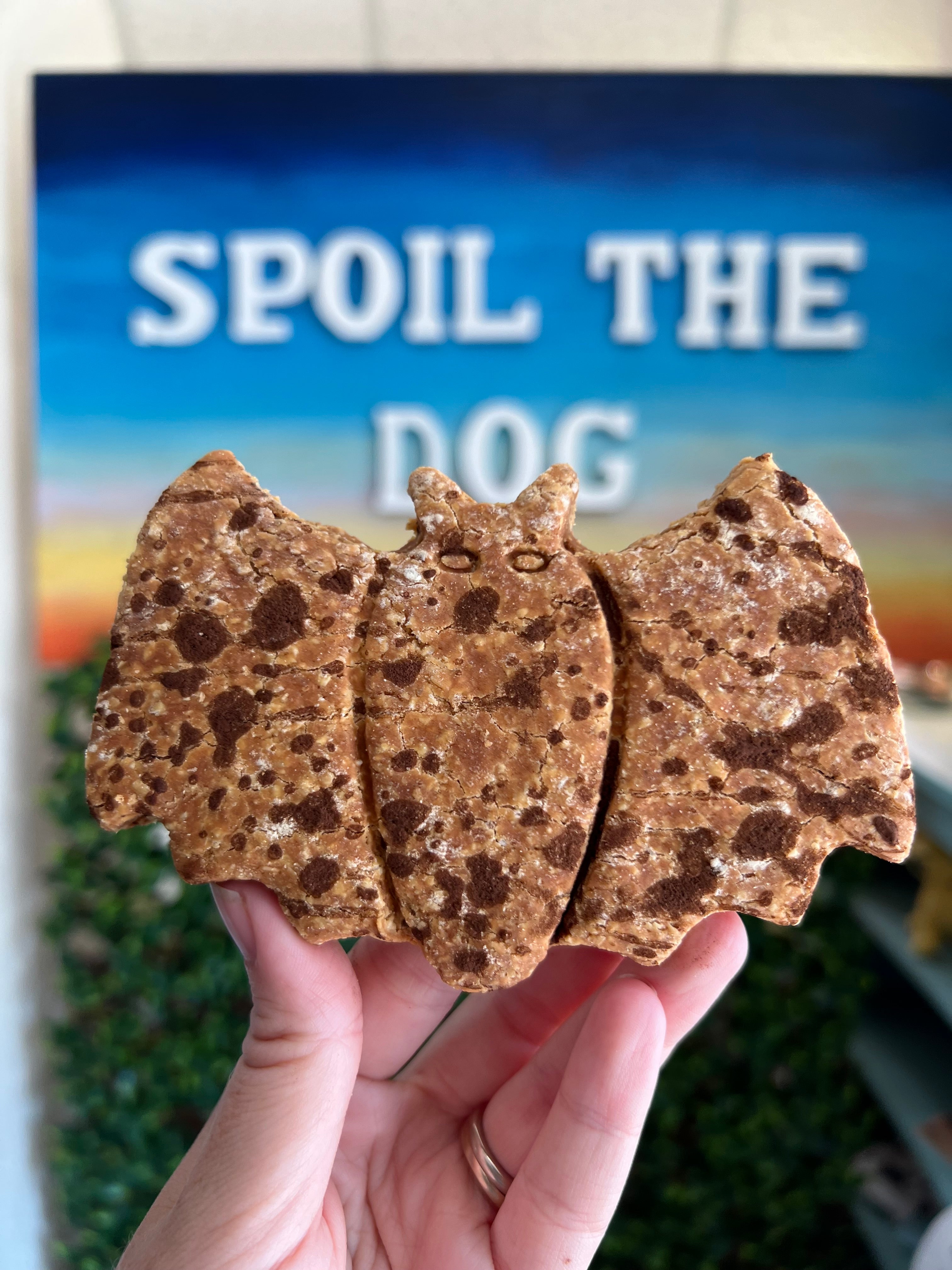 Hand holding a dog treat shaped like a bat, with 'Spoil the Dog' sign in the background
