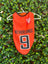 Dog Soccer Jersey