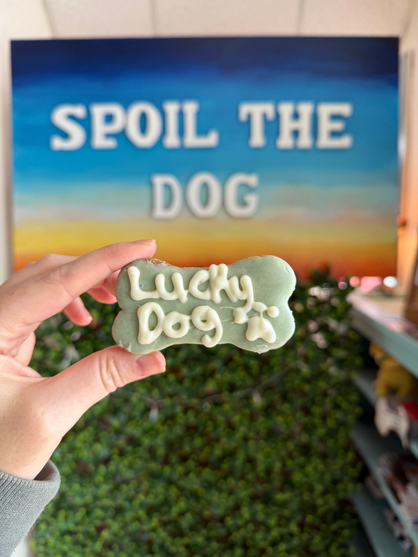 Green dog treat with 'Lucky Dog' text held in front of a store sign.