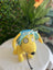 Tail Up Dog Sun Hats/Sun Protection for Dogs
