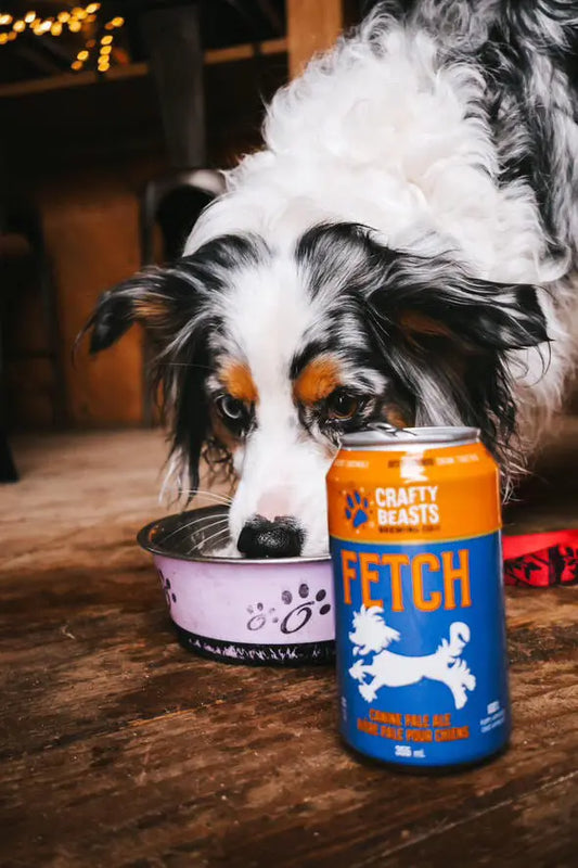Beer For Dogs Crafty Beasts Brewing Co