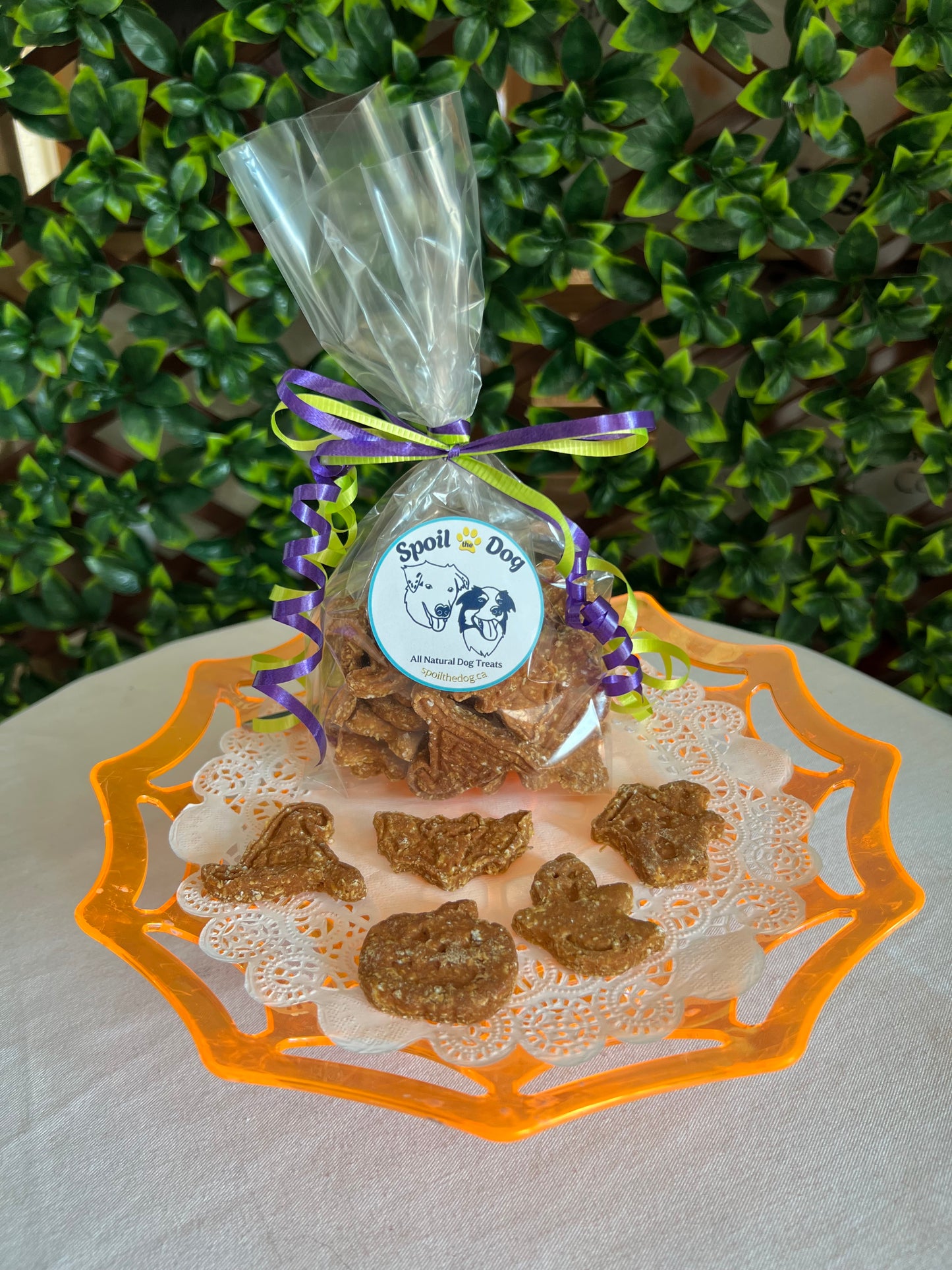 Dog Treat Halloween Fall Minis