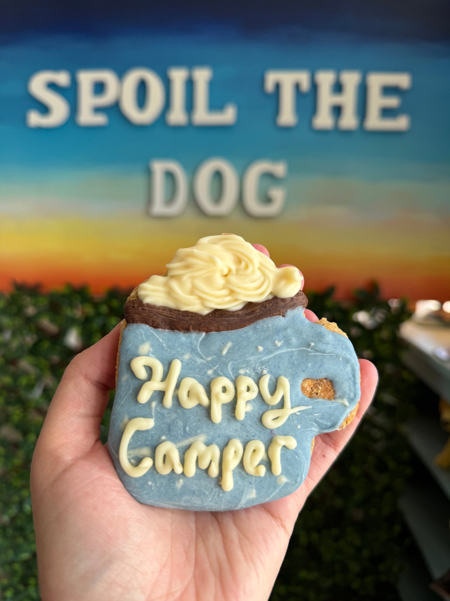 Happy Campers Cookies (Wholesale - 1 dozen)