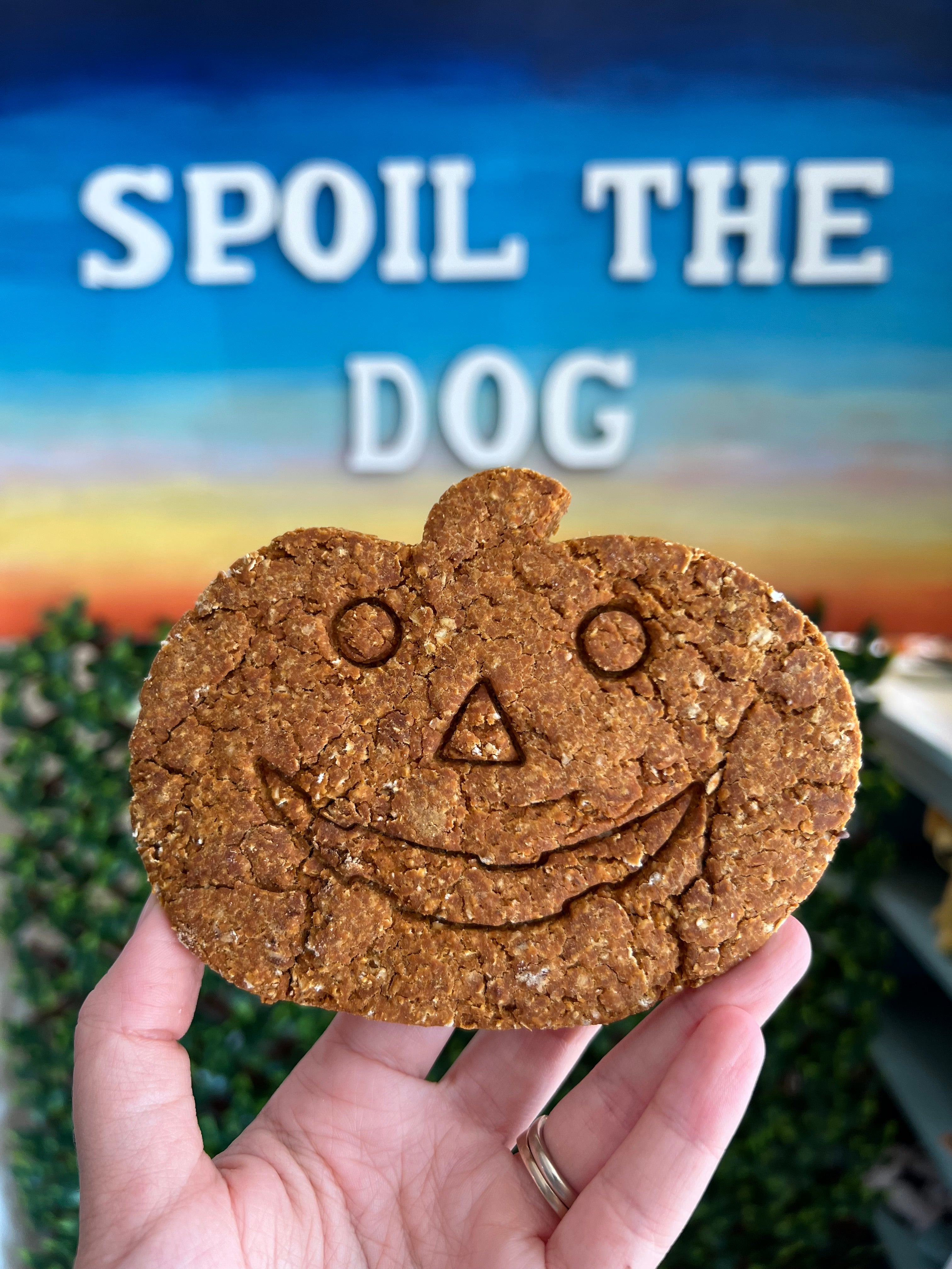 Fall Jack O Lantern Pumpkin Dog Treat (Wholesale - 1 dozen)
