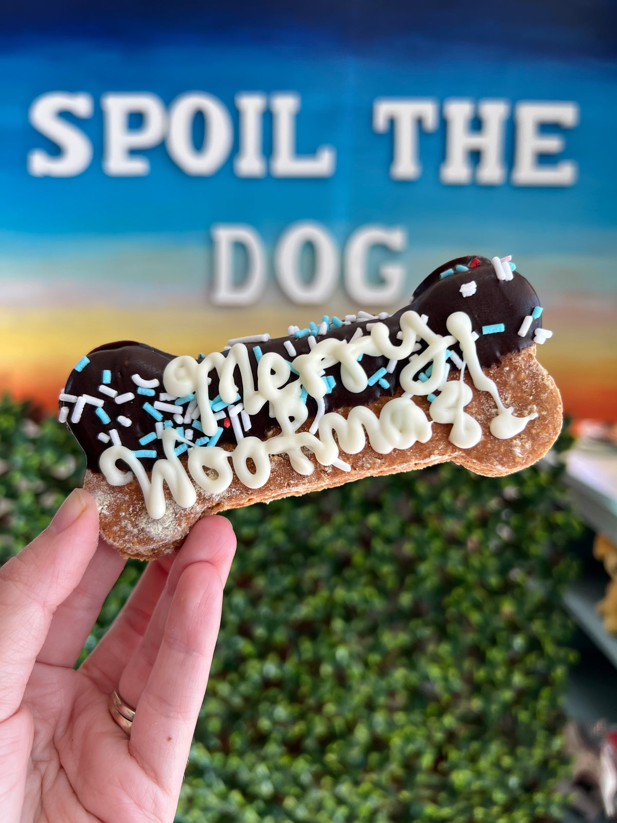 Dog bone-shaped treat with chocolate and white icing held by a hand, with 'Spoil the Dog' sign in the background.