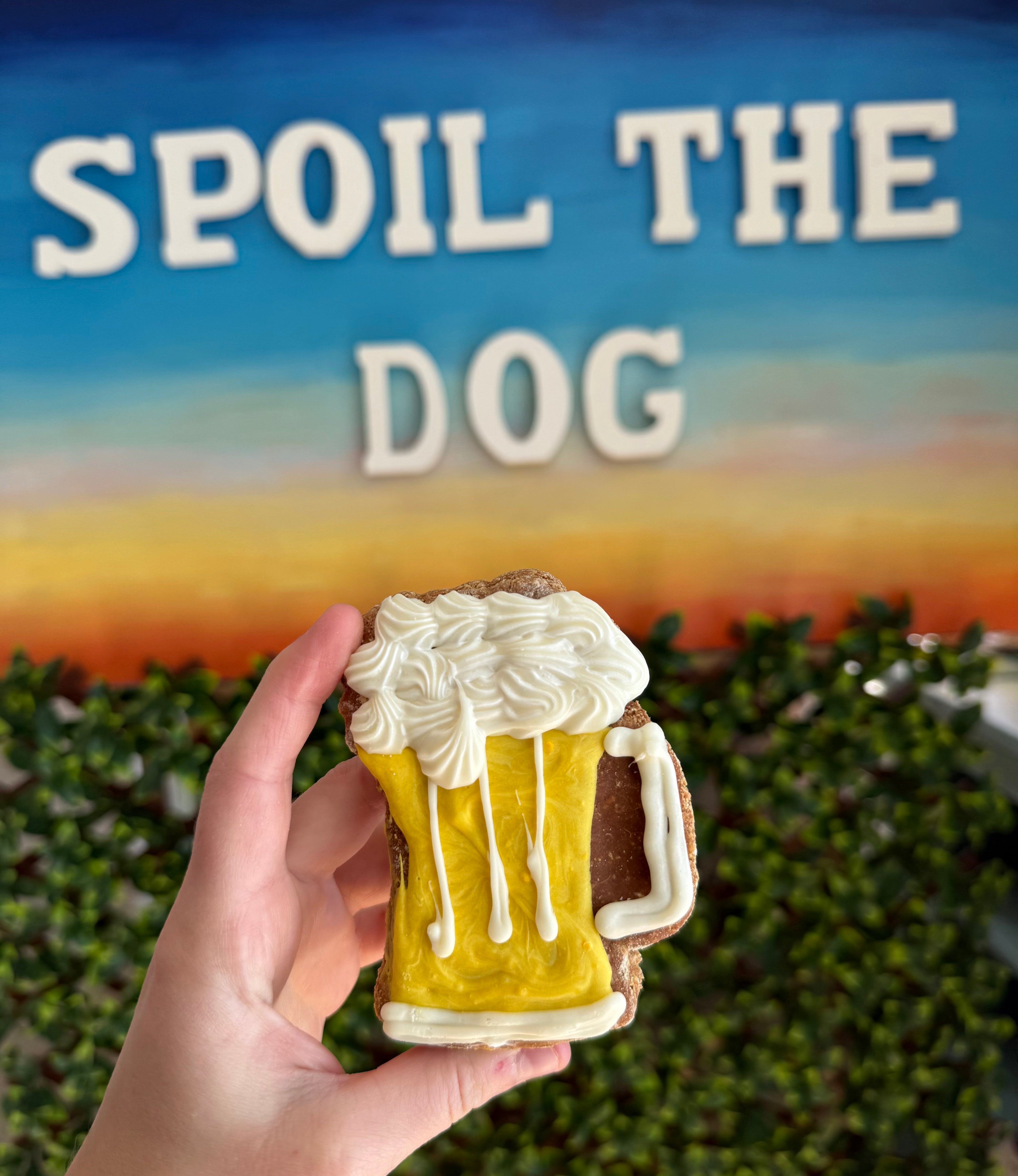 Friandises pour chien, chope de bière, gros beurre de cacahuète