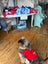 Dog Soccer Jersey