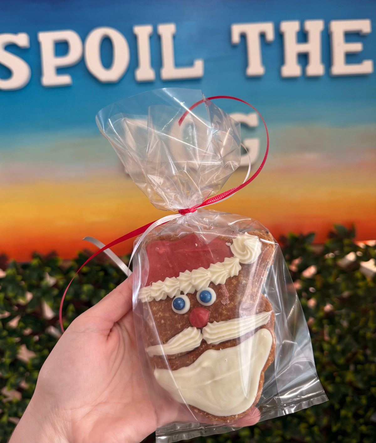 Hand holding a gingerbread cookie shaped like Santa Claus in front of a scenic background with text.