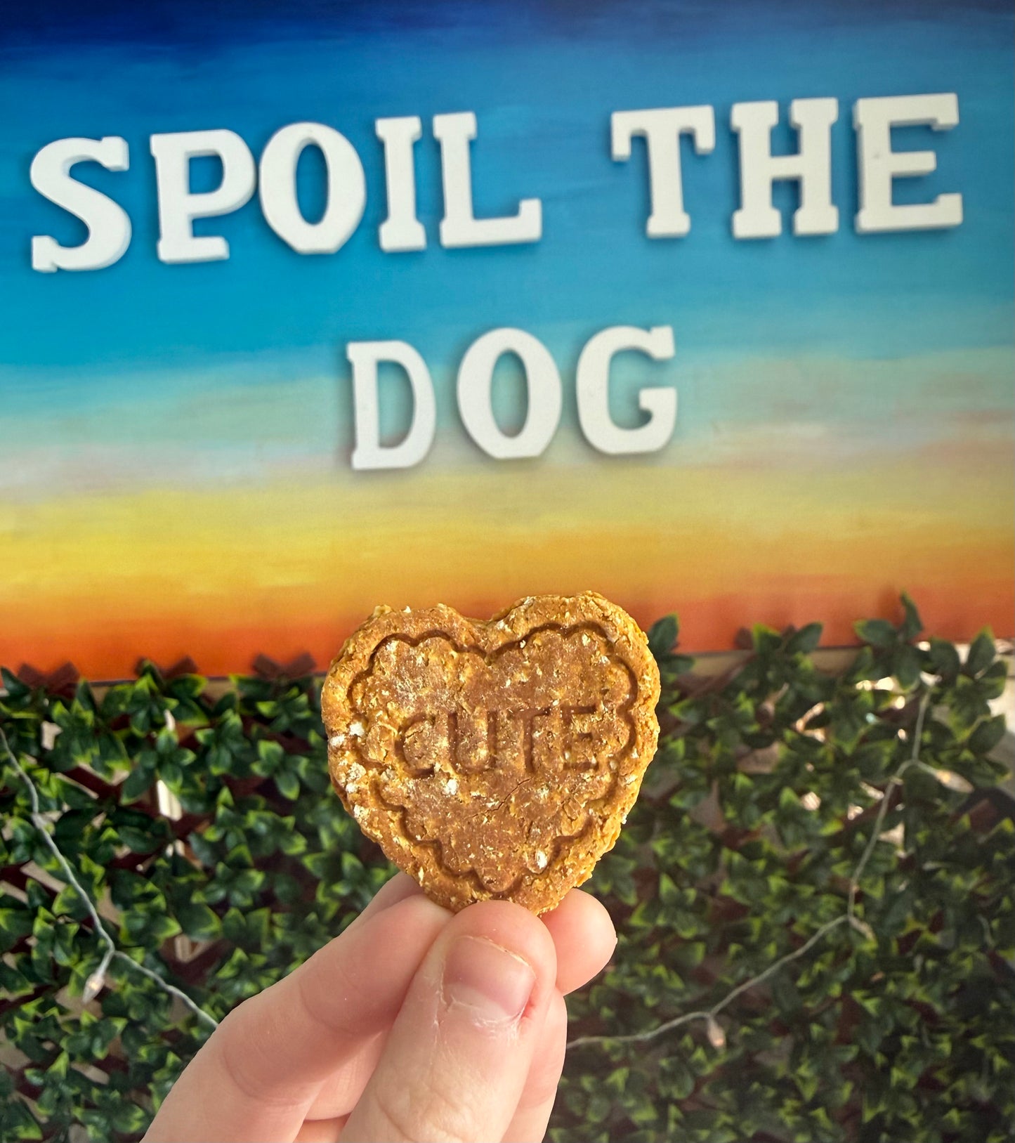 *New* Pumpkin Puppy Love Hearts