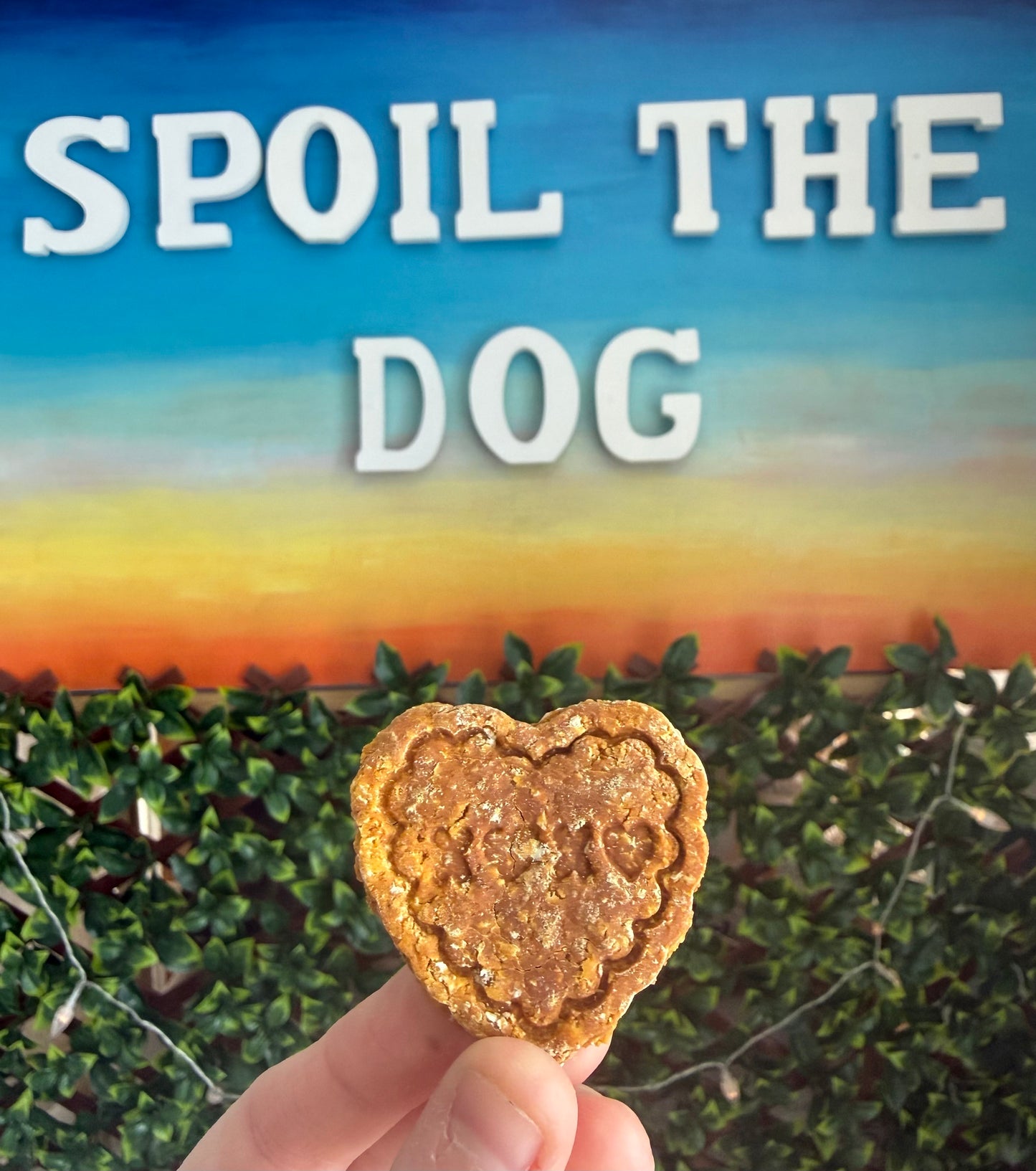 *New* Pumpkin Puppy Love Hearts