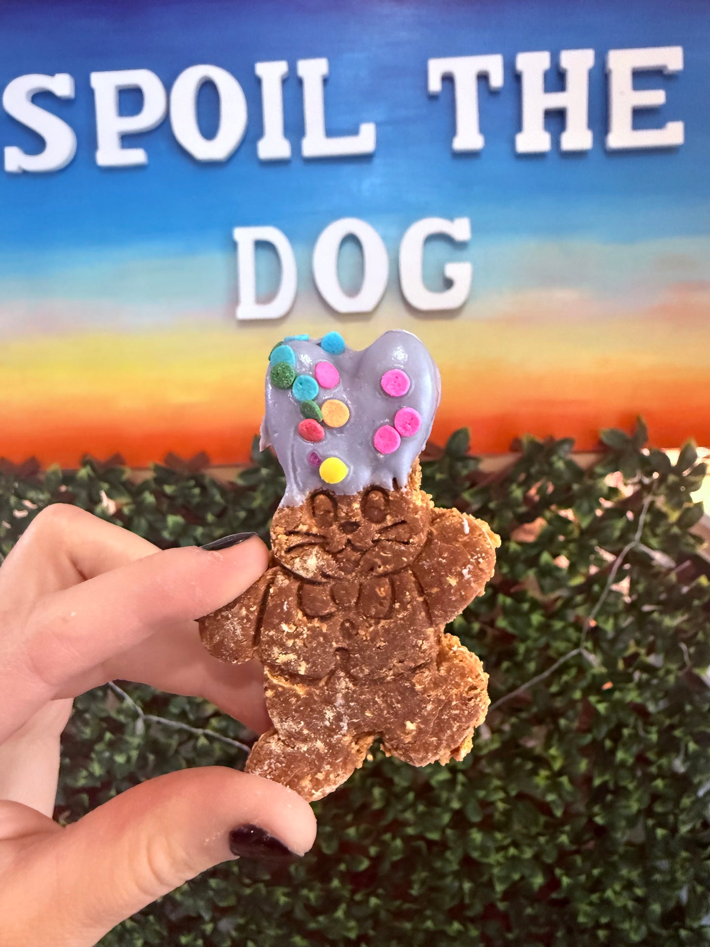 Easter Dipped-Ear Bunny - Peanut Butter Dog Treat (wholesale- 1 dozen)