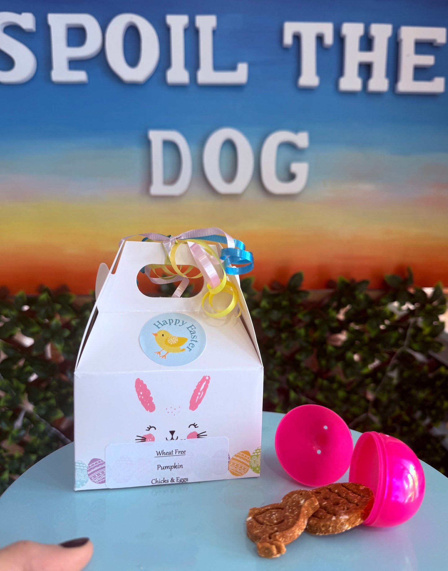 Boîte de friandises pour chiens « Poussins et œufs » pour Pâques 2026