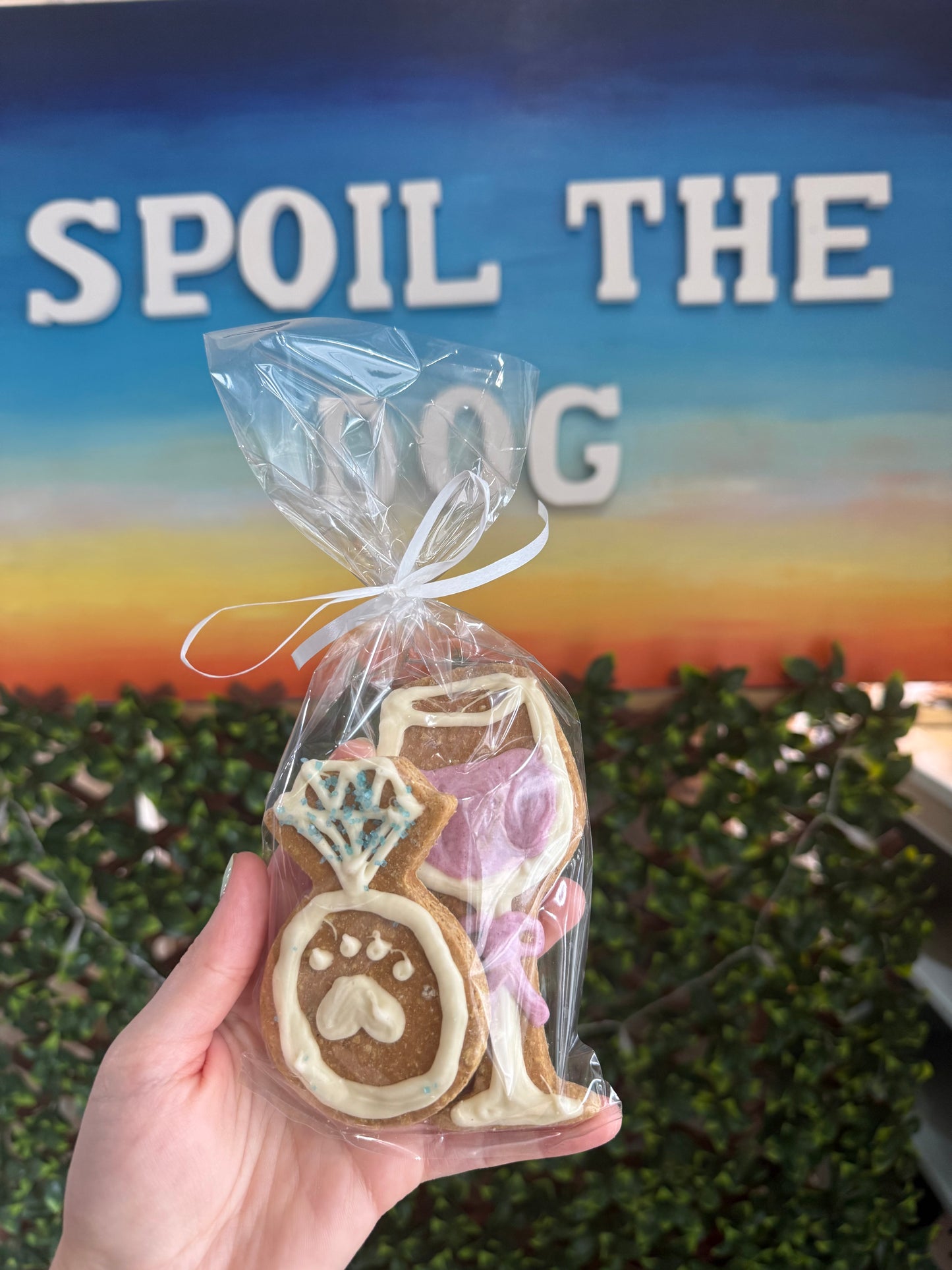 Wedding Dog Treat