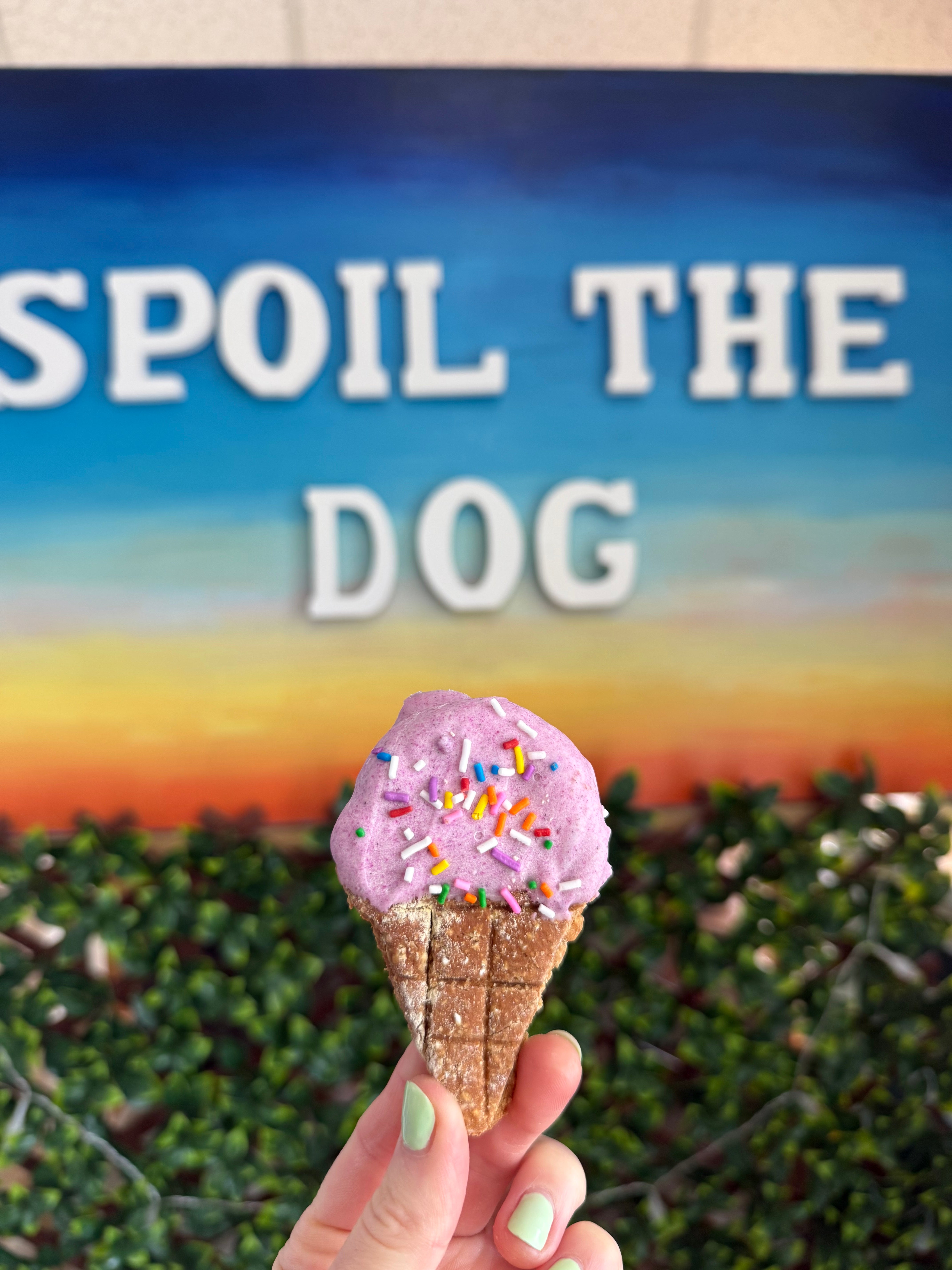 Assorted Dog Treat Peanut Butter Ice Cream Cones (Wholesale - 1 dozen)