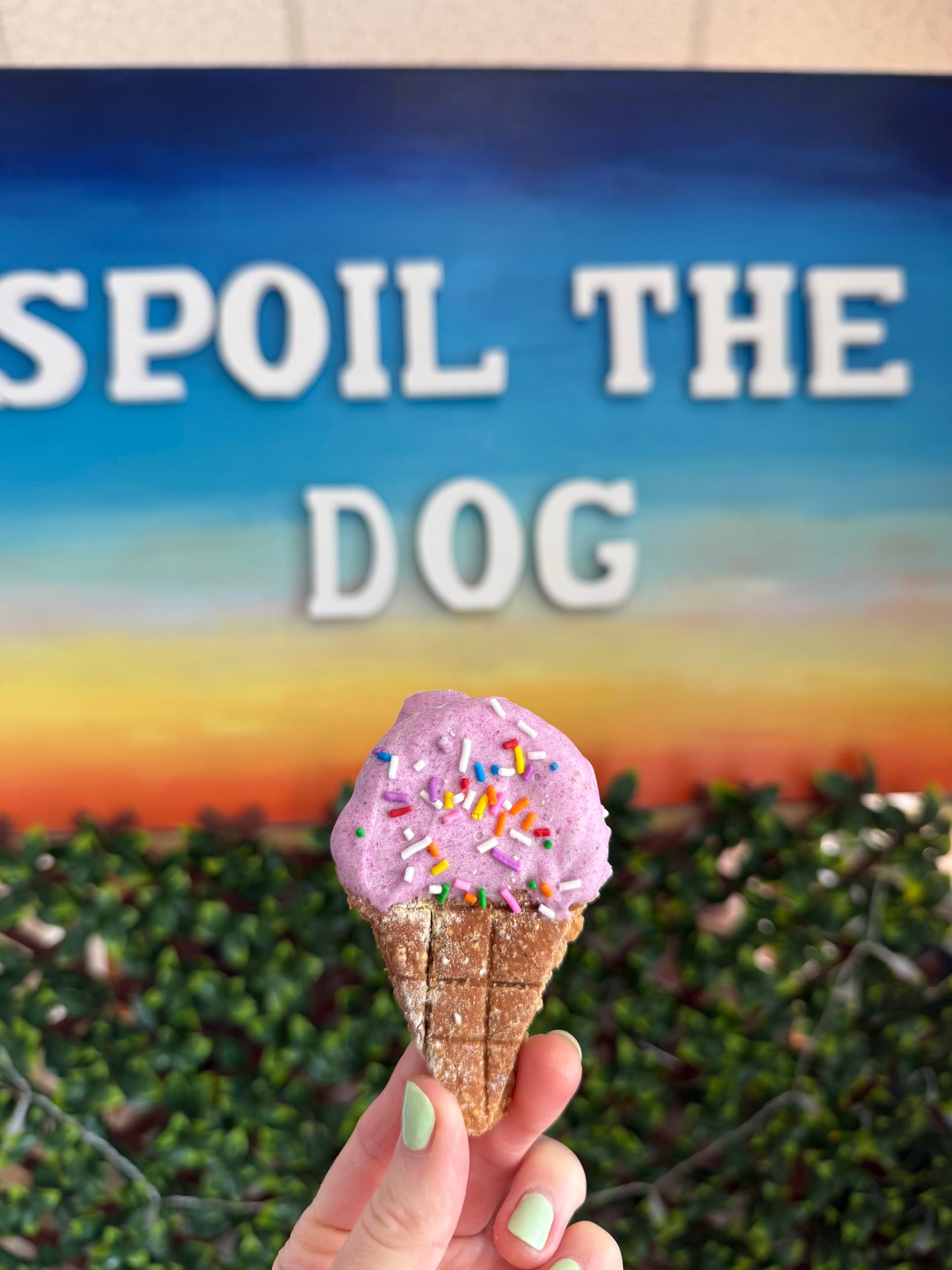 Assorted Dog Treat Peanut Butter Ice Cream Cones (Wholesale - 1 dozen)