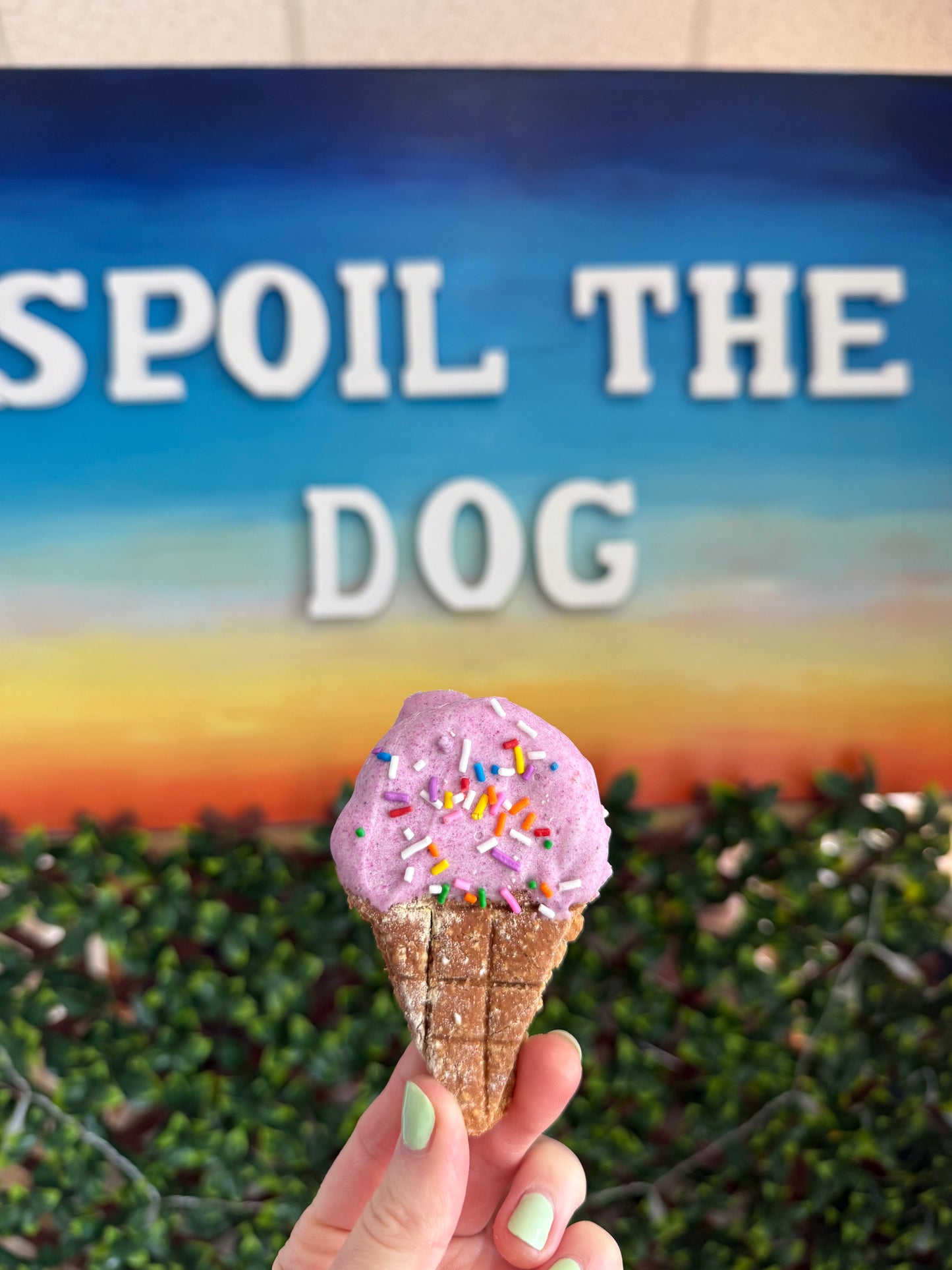 Assortiment de cornets de glace au beurre de cacahuète pour chiens (Vente en gros - 1 douzaine)