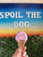 Assorted Dog Treat Peanut Butter Ice Cream Cones (Wholesale - 1 dozen)