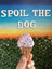 Assorted Dog Treat Peanut Butter Ice Cream Cones (Wholesale - 1 dozen)