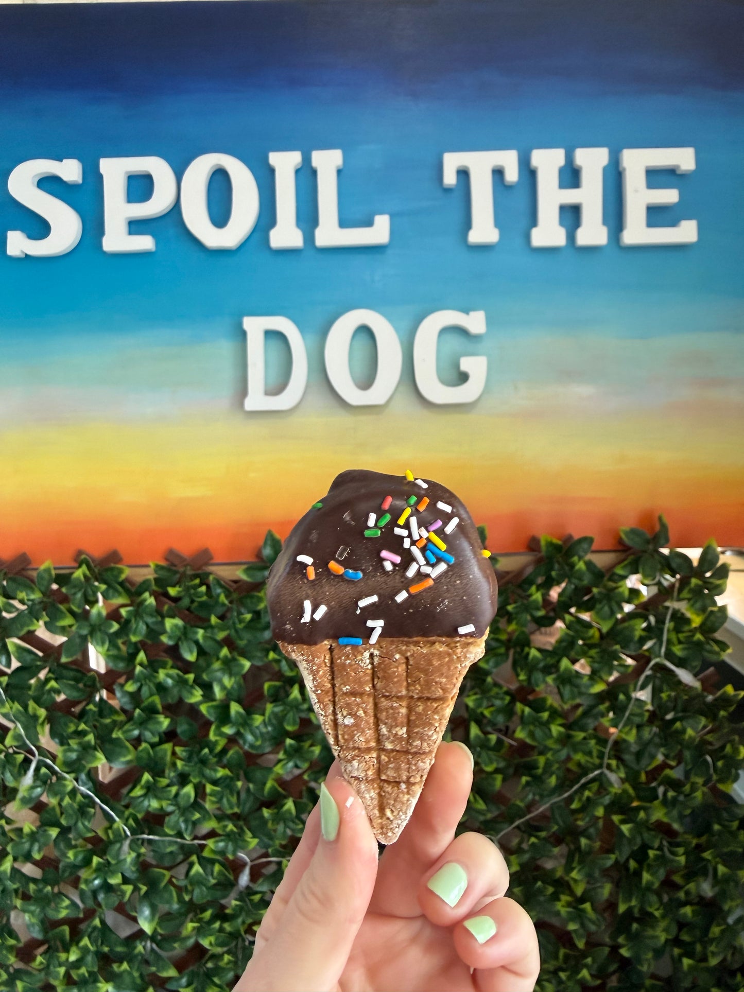 Friandises pour chiens : cornets de glace au beurre de cacahuète