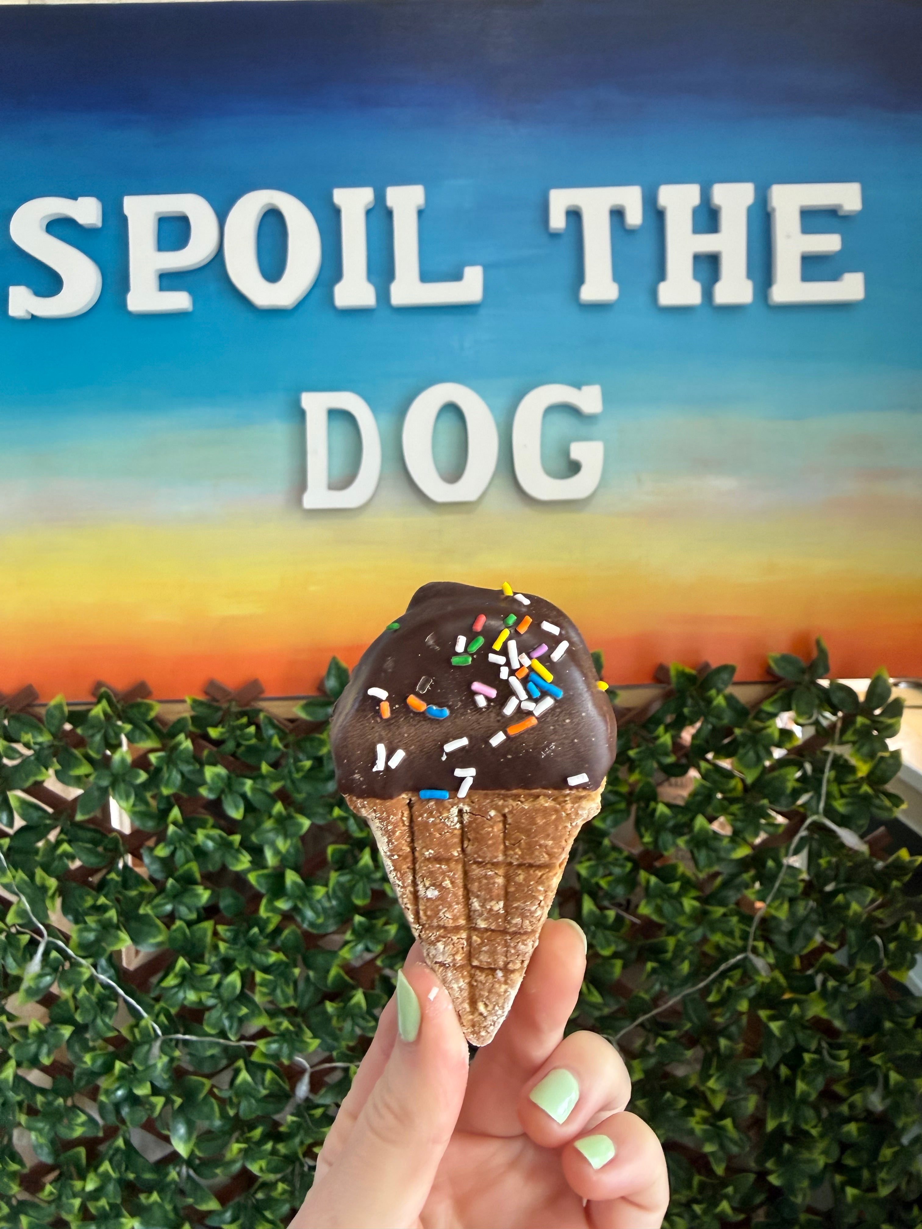 Assorted Dog Treat Peanut Butter Ice Cream Cones (Wholesale - 1 dozen)